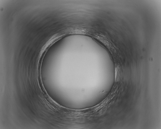 X0000087590195200704271119