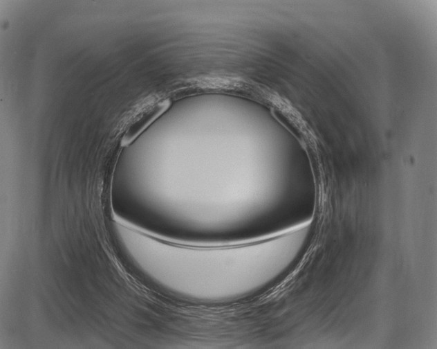 X0000087590201200704271119