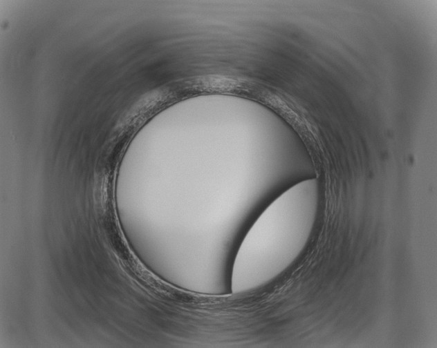 X0000087590206200704271118