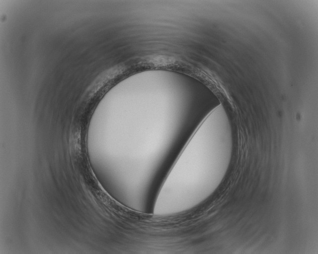 X0000087590212200704271118
