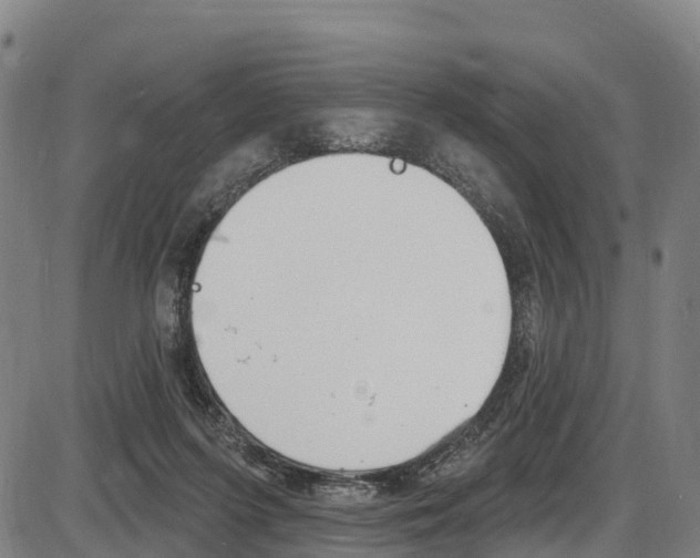 X0000087590215200704271118