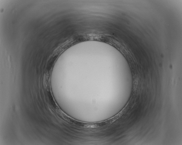 X0000087590218200704271118