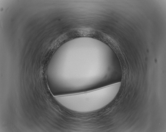 X0000087590221200704271118
