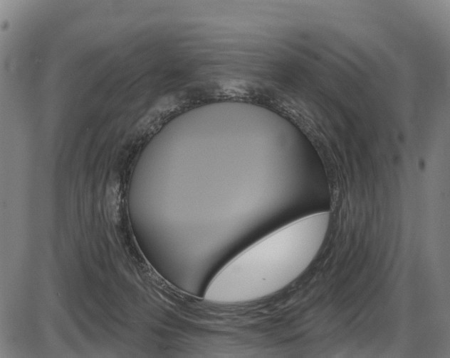 X0000087590223200704271118