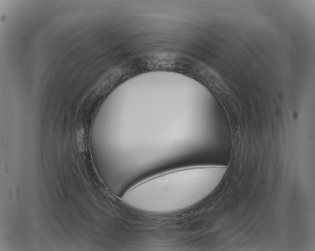 X0000087590224200704271118