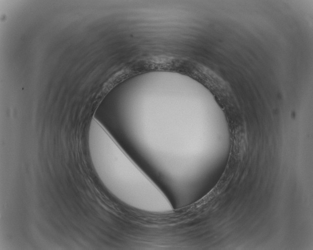 X0000087590225200704271118