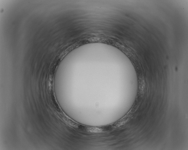 X0000087590226200704271118