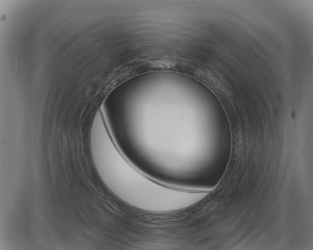 X0000087590229200704271118