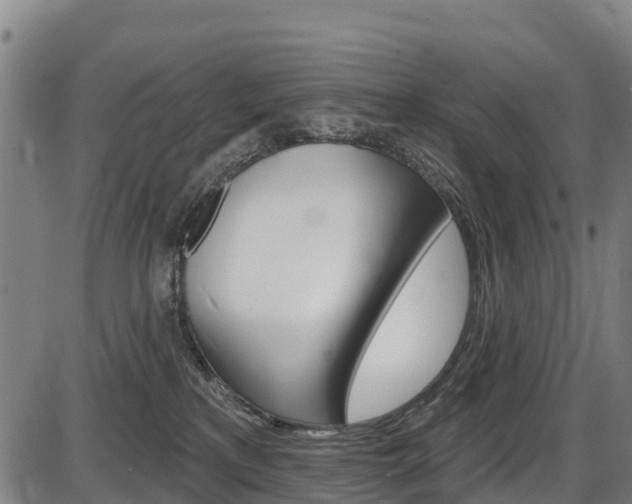 X0000087590233200704271118