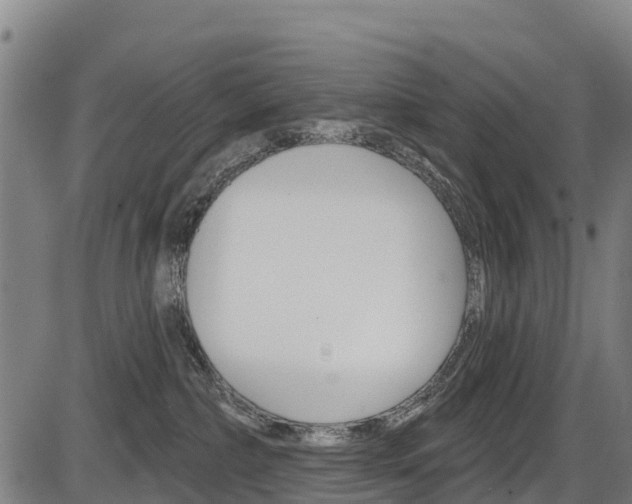 X0000087590236200704271118