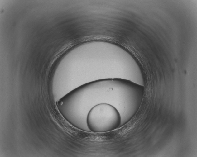 X0000087590254200704271117