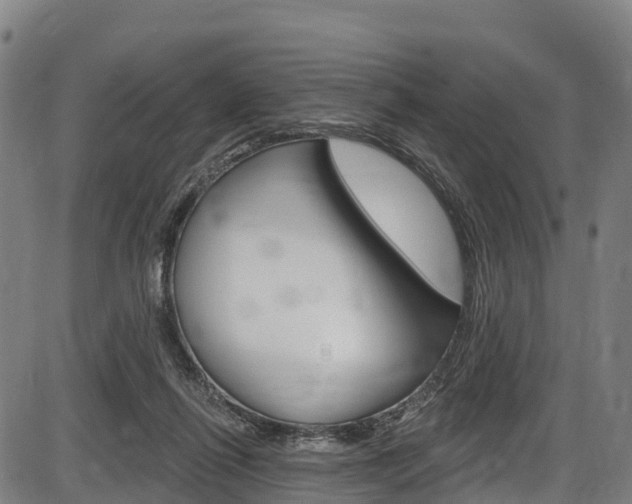 X0000087590262200704271117