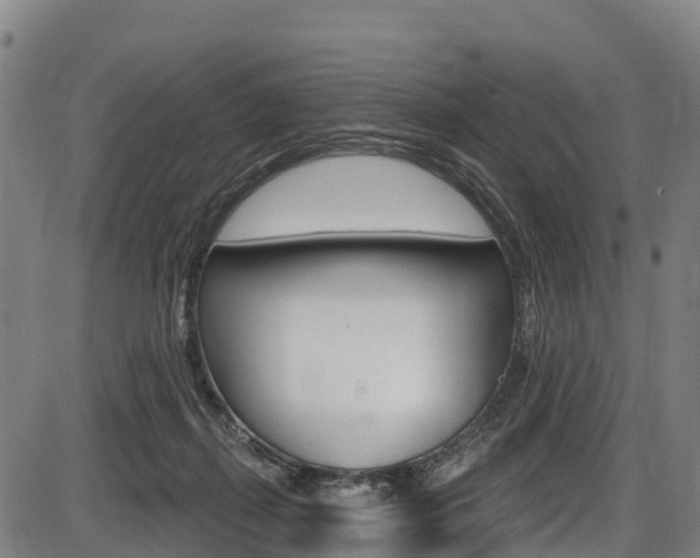 X0000087590267200704271118