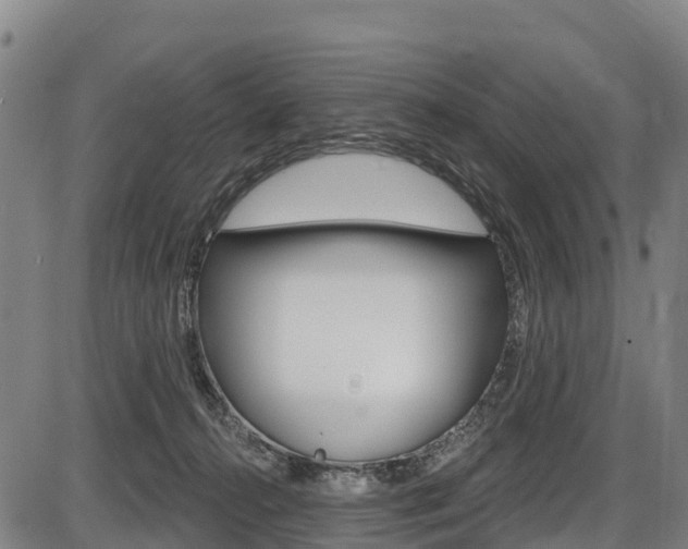 X0000087590272200704271118