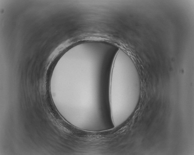 X0000087590296200704271117