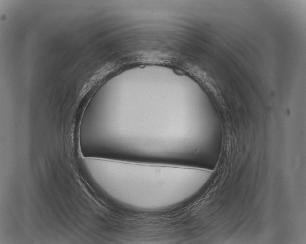 X0000087590299200704271117