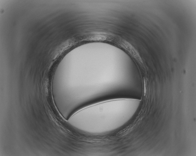 X0000087590300200704271117