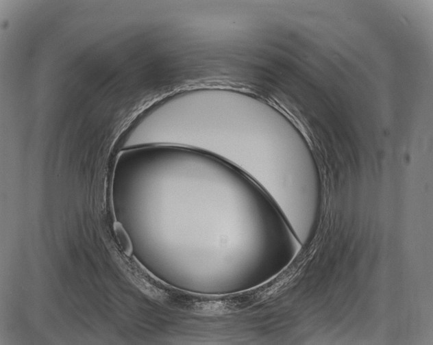 X0000087590301200704271117
