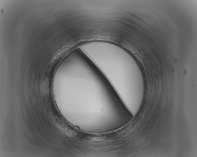 X0000087590303200704271117