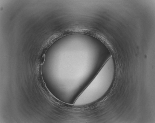 X0000087590309200704271117
