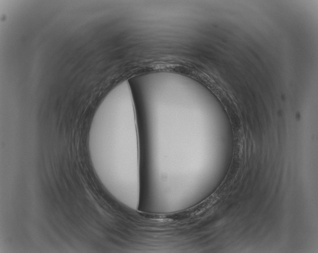 X0000087590316200704271117
