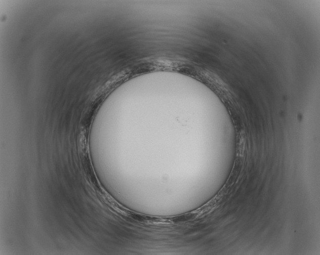 X0000087590318200704271117