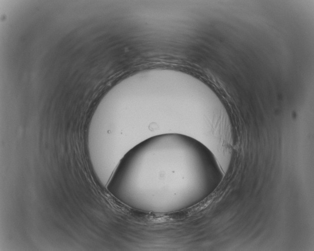 X0000087590321200704271117