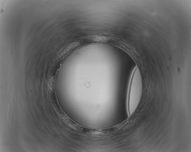 X0000087590325200704271116