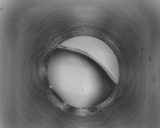 X0000087590333200704271116
