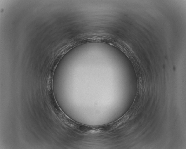 X0000087590364200704271116
