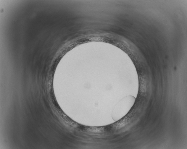 X0000087590370200704271116