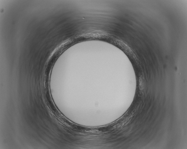 X0000087590396200704271115