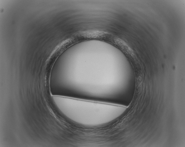 X0000087590400200704271115