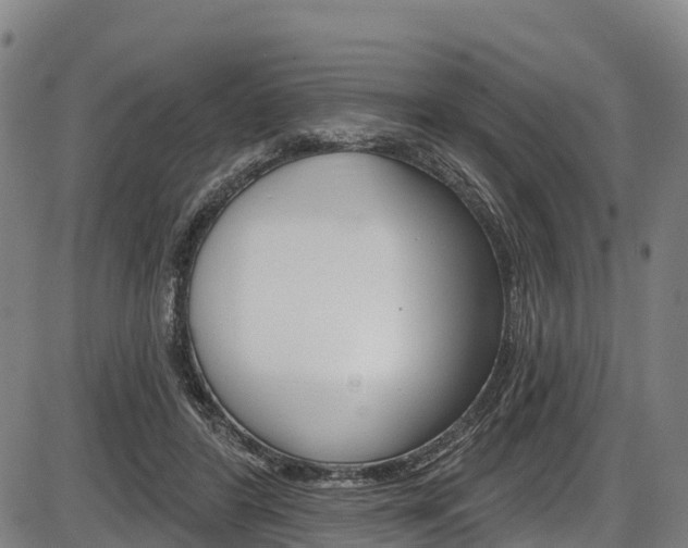 X0000087590404200704271115