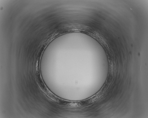 X0000087590406200704271115