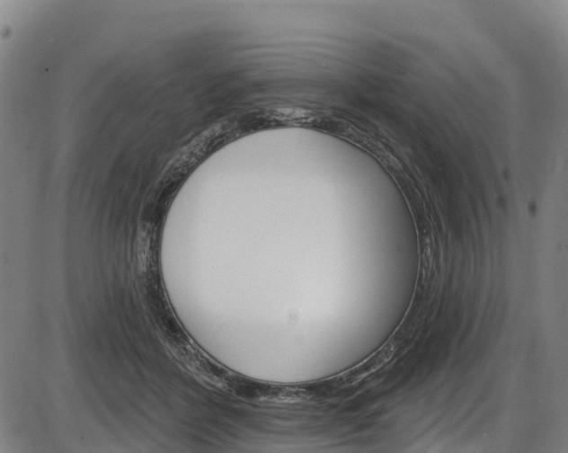 X0000087590412200704271115