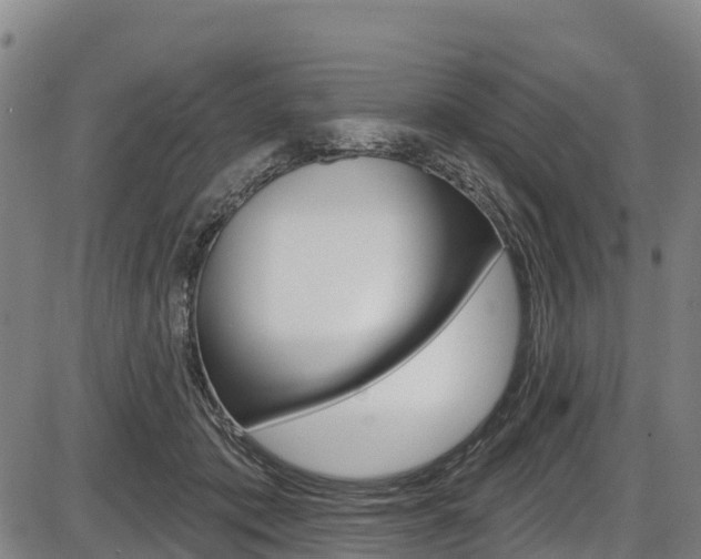 X0000087590413200704271115