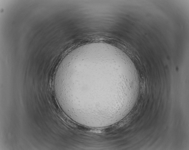 X0000087590418200704271115