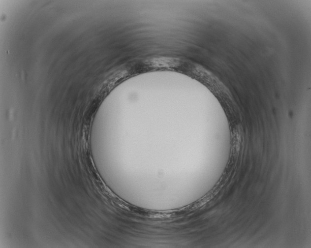 X0000087590422200704271115