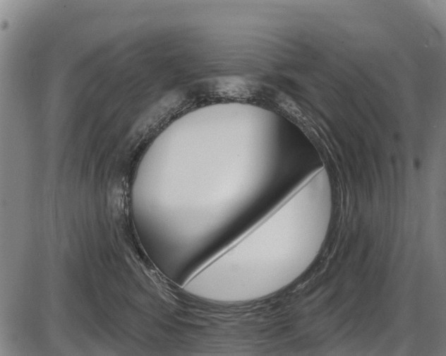 X0000087590424200704271115