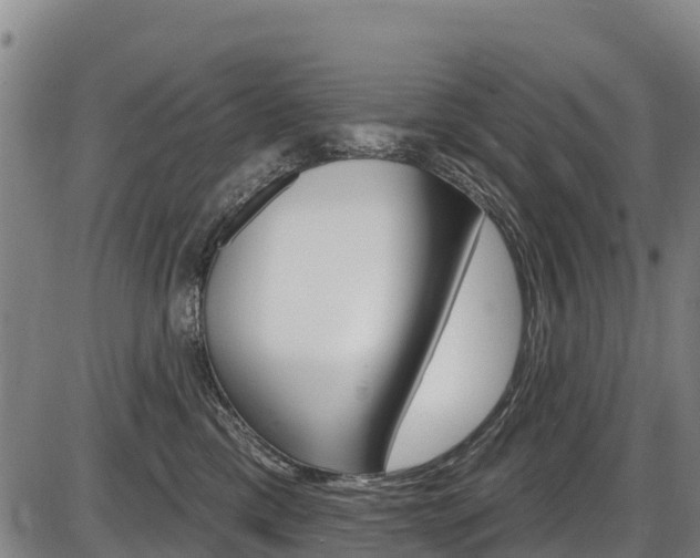 X0000087590425200704271115