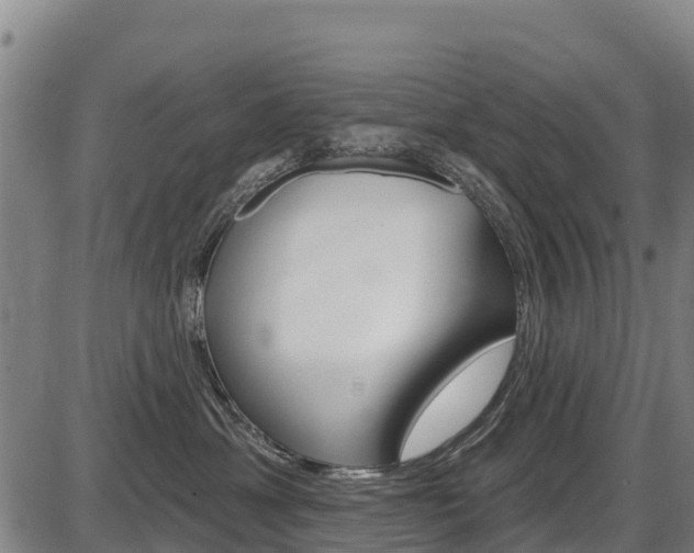 X0000087590429200704271115