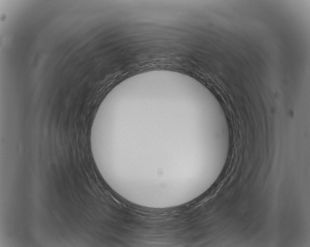 X0000087590432200704271115