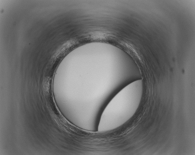 X0000087590495200704271114