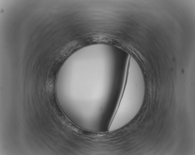 X0000087590513200704271113