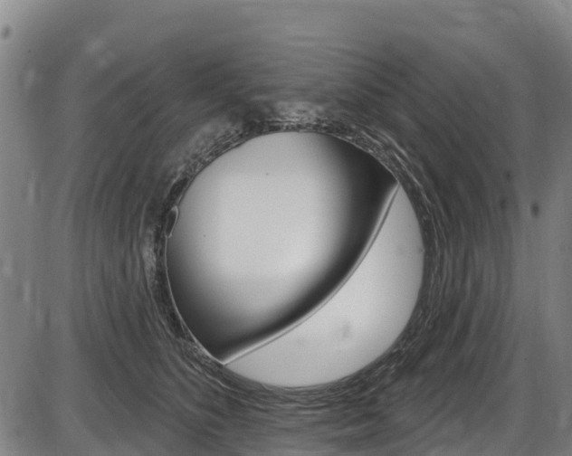X0000087590516200704271113