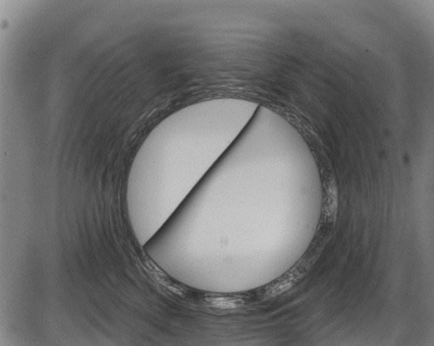 X0000087590522200704271113