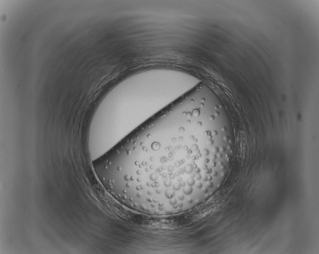 X0000087590550200704271113