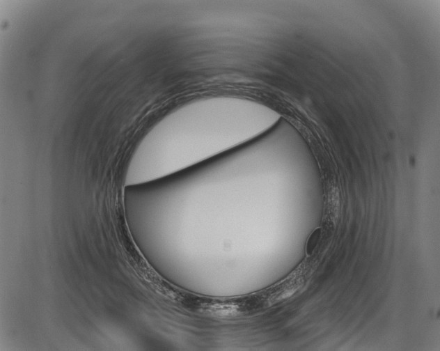 X0000087590554200704271113