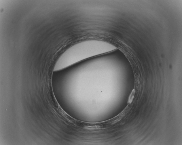 X0000087590556200704271113
